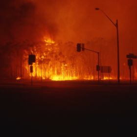 Forest Way Mona Vale Road, January 1994 A fire rages at Forest Way, Mona Vale Road during the 1994 Sydney fires.