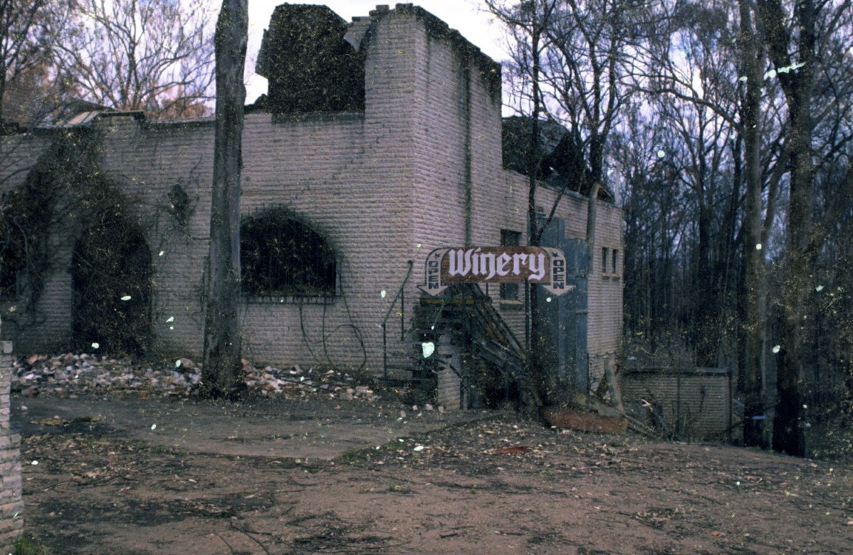 Fire impact during the Black Christmas fires, 20011 The aftermath of the Black Christmas fires on a winery, 2001.