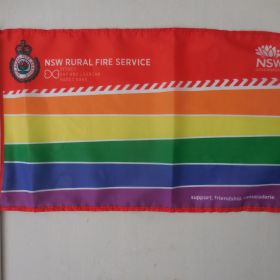 Mardis Gras Flag, 2017 Mardis Gras Flag, 2017