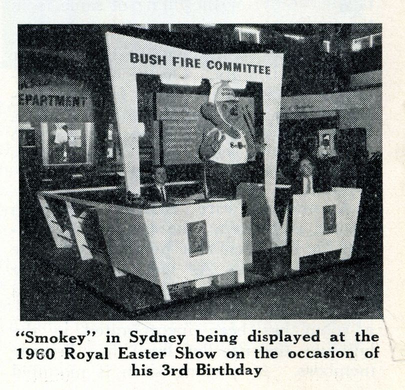 Royal Easter Show, 1960
