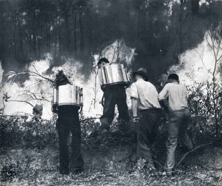 Firefighters, 1963