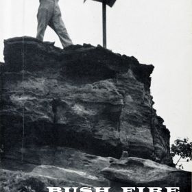 Bush fire Detection, 1965