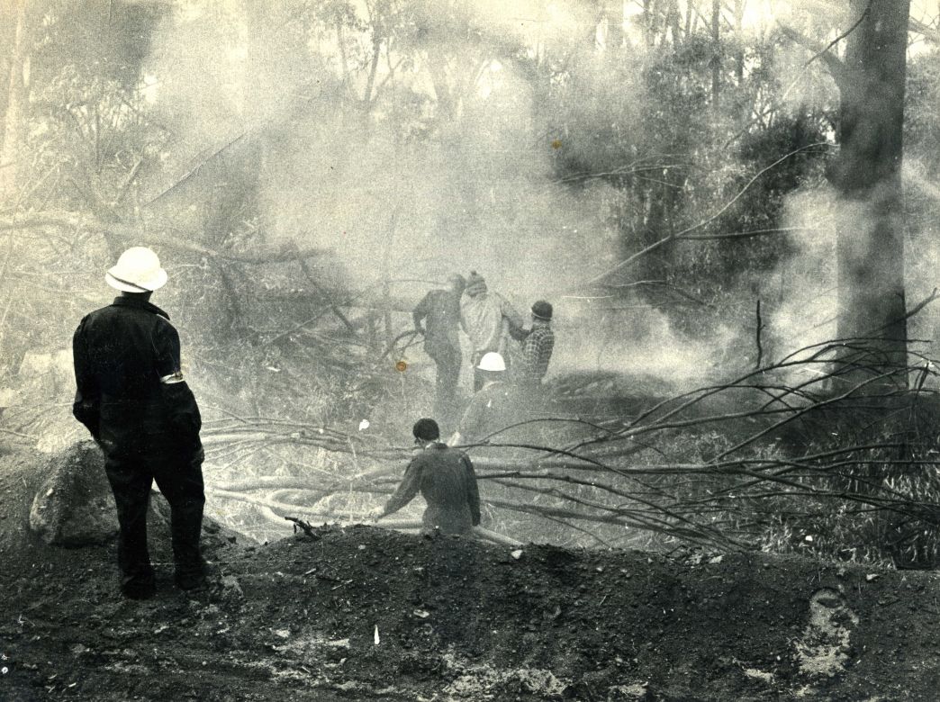 Wollongong Bush Fire, 1965
