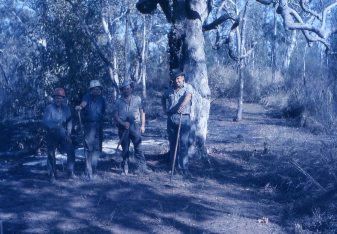 Warrumbungles Containment Line, 1967