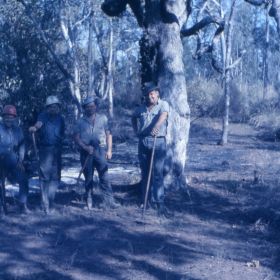 Warrumbungles Containment Line, 1967