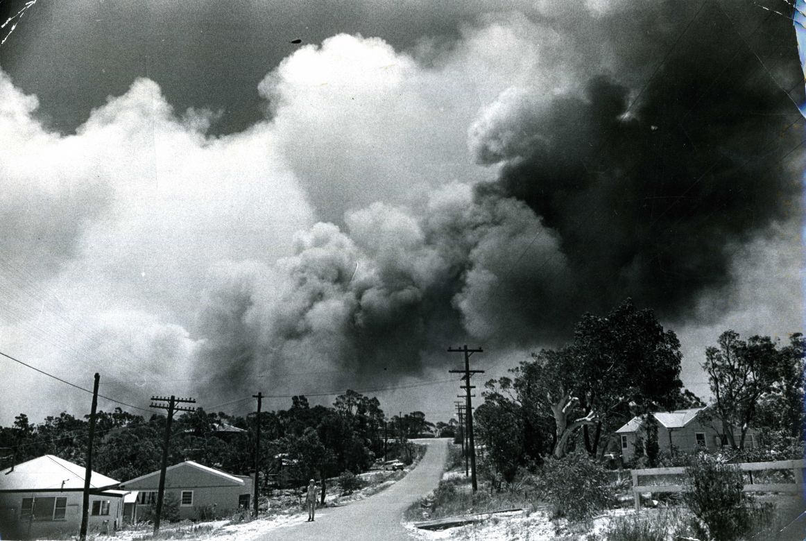 Linden Valley Faulconbridge, 1968