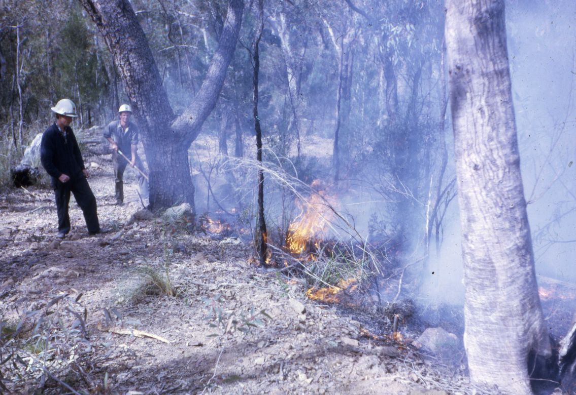 Warrumbungles Hazard Reduction, 1969 Warrumbungles Hazard Reduction, 1969