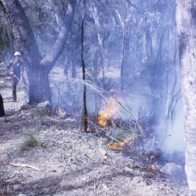 Warrumbungles Hazard Reduction, 1969 Warrumbungles Hazard Reduction, 1969