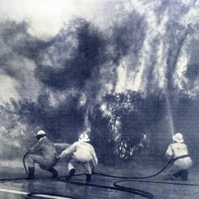 Wakehurst Parkway Warringah, 1971