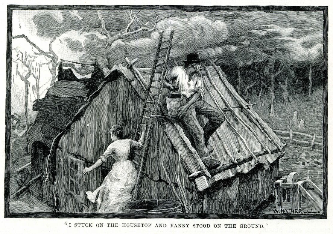 Bush Fire Engraving, 1888