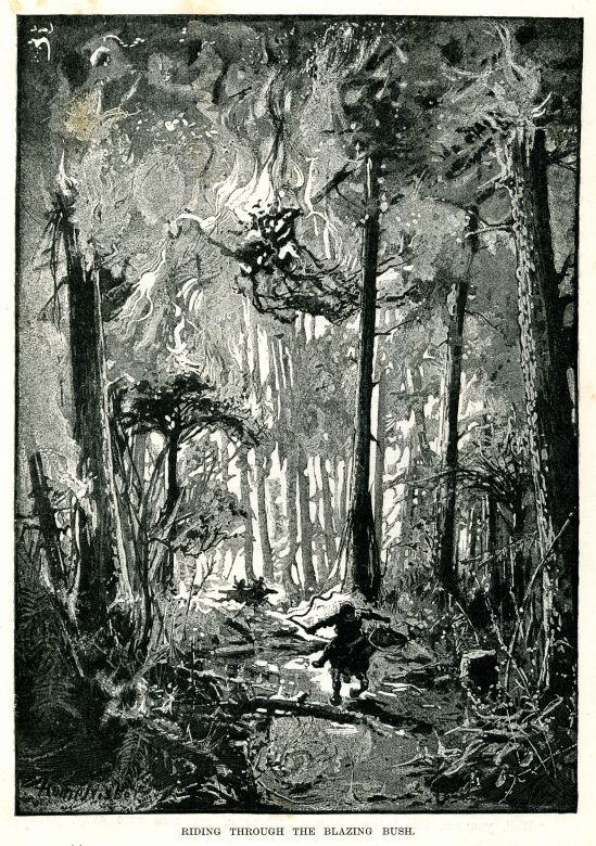 Wood Engraving, 1890