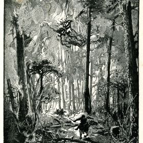 Wood Engraving, 1890