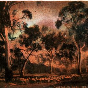 Australian Bush Fire Series, 1900