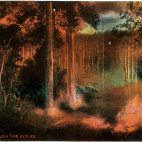 Australian Bush Fire Series, 1900