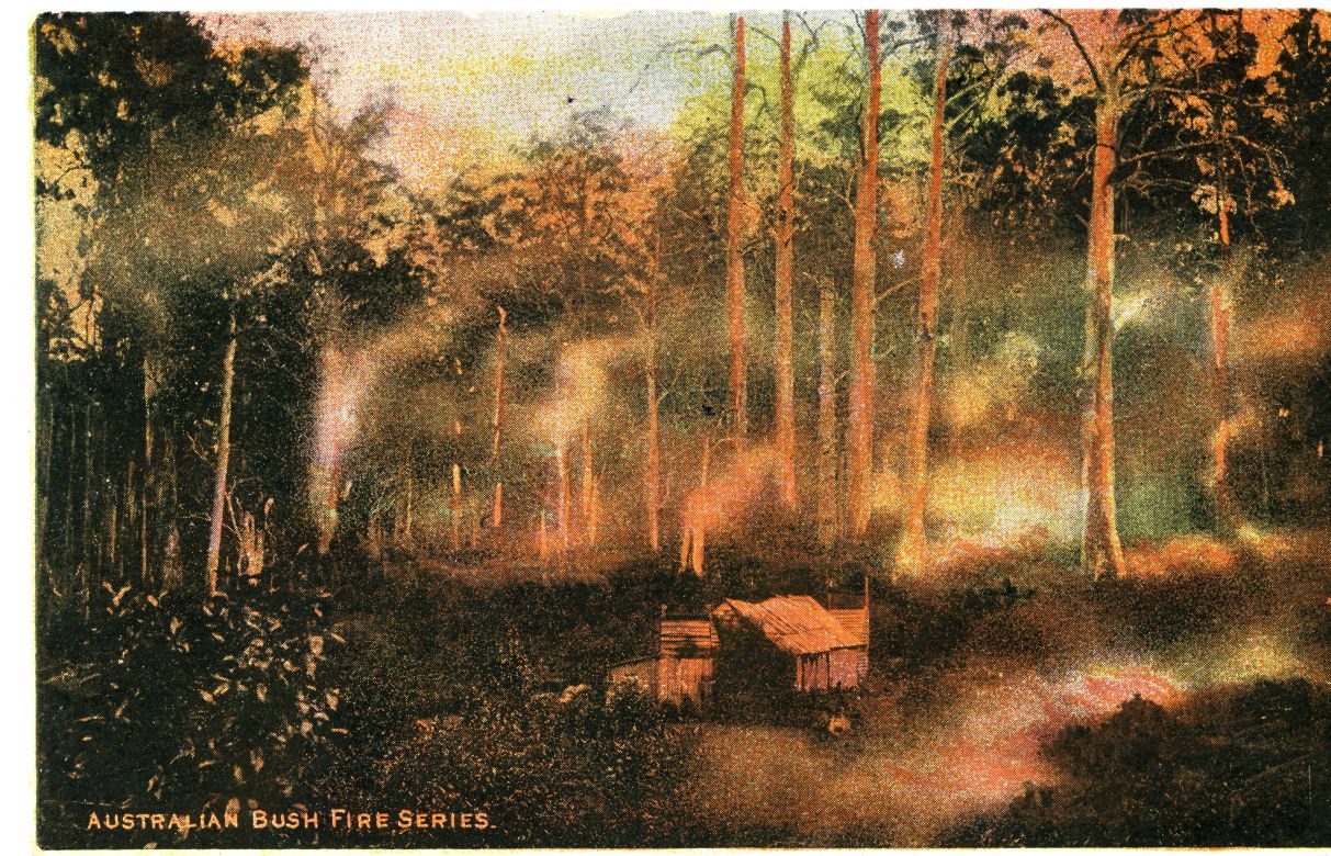 Australian Bush Fire Series, 1900