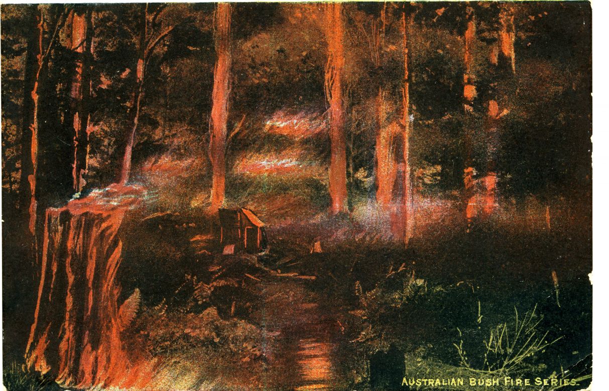 Australian Bush Fire Series, 1900