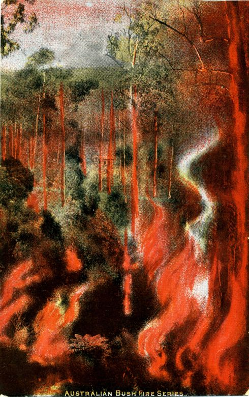 Australian Bush Fire Series, 1900