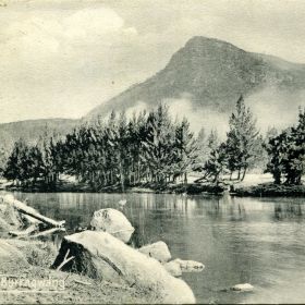 Bush Fire Burrawang, 1911