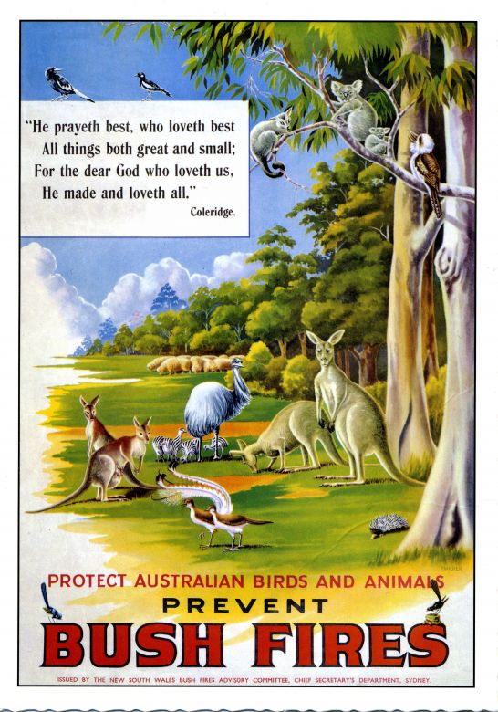 Prevent Bush Fires, 1948