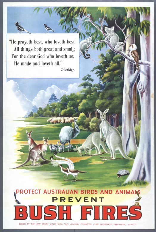 Protect Australian Birds and Animals, Prevent Bush Fires, 1948 Prevent Bush Fires, 1948