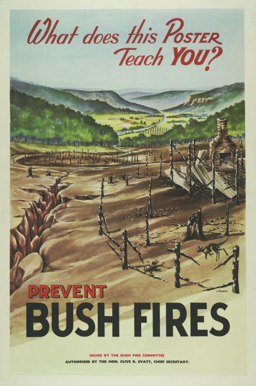 Prevent Bush Fires, 1952 What Does This Poster Teach You, 1952