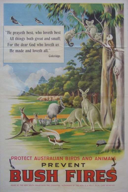 Protect Australian Bird and Animals, 1953 Prevent Bush Fires, 1953