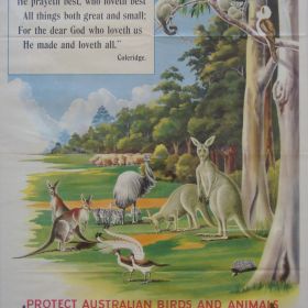 Protect Australian Bird and Animals, 1953 Prevent Bush Fires, 1953