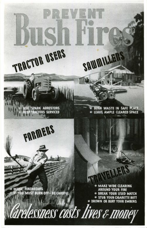 Prevent Bush Fires, 1954 Carelessness Costs Live and Money, 1954