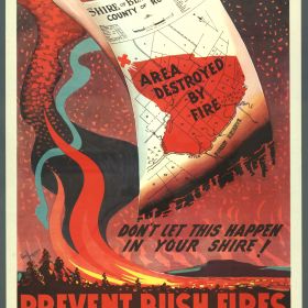 Prevent Bush Fires, 1954 Don't Let This Happen in Your Shire, 1954
