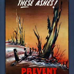 Prevent Bush Fires, 1955 Australia Must Lose These Ashes, 1955