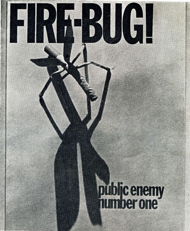 Fire-Bug! Public enemy number one, 1969 Fire Prevention Week First Prize, 1969