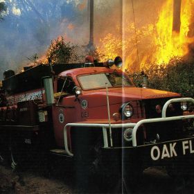 1981 Oak Flats Studebaker